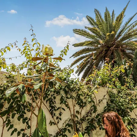 Guayarmina 40 * אגאטה